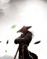 武林外传九师妹
