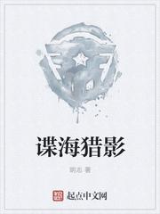 谍海猎影TXT免费