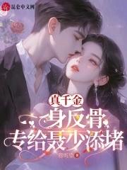 新欢旧梦是什么意思